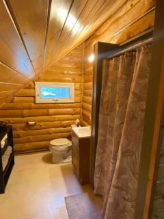 Cozy Vermont Cabin - 4