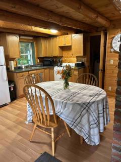 Cozy Vermont Cabin - 3