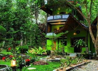 Batu kapal guesthouse - Bukit Lawang - 4