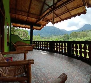 Batu kapal guesthouse - Bukit Lawang - 2