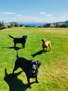 Hilltop Whakaipo Estate - Taupo - 1
