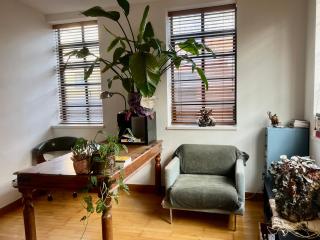 Huge room in loft with sauna in central London - Londra - 6