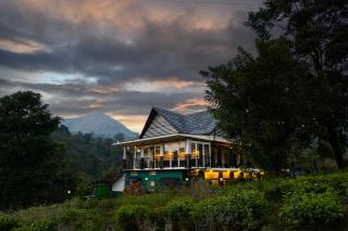jungle view resort - Mananthavady - 5