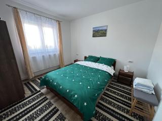 Casa Viorica - Câmpulung Moldovenesc - 2