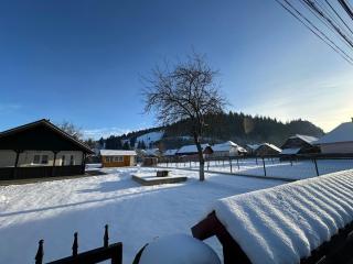 Casa Viorica - Câmpulung Moldovenesc - 4