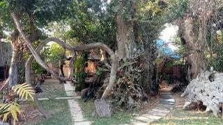 Kakrona Pouk Homestay - Siem Reap - 3