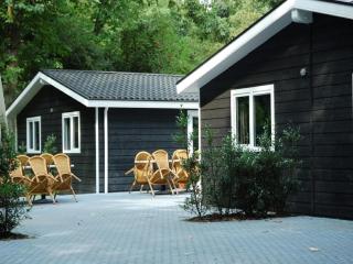 Nice House surrounded by forest - De Bult - 9