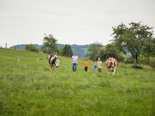 Ferienhof Bieke - Finnentrop - 1