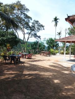 Underground Hostel By Bilwa Estate - Madikeri - 5