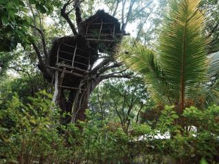The Other Corner Habarana - Habarana - 1