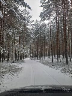 Domek w lesie - Biłgoraj - 9