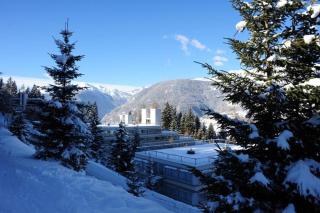 Appartamenti Solaria a Marilleva 1400 by Happy Holidays - Marilleva - 8