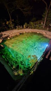Balinesa Ecolodge - 1