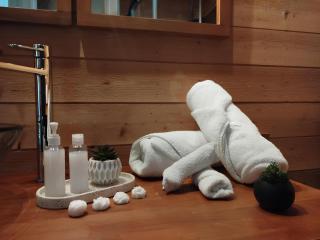 Nancy Gare Centre Parking - Nancy - 1