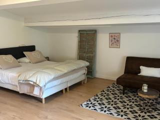 PLEIN SUD - Tourrettes-sur-Loup - 7