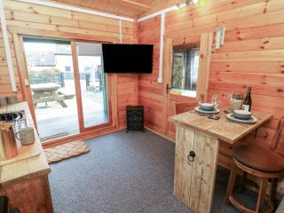 Mill Cabin Denant - Haverfordwest - 6