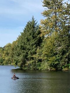 Vue imprenable sur le Moulin du chaos ! - Huelgoat - 5