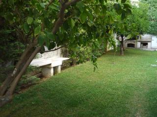 Elegant family apartment with marvelous garden - Athens - 3