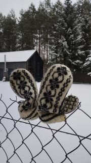 Wilkovo Roztocze - - 8