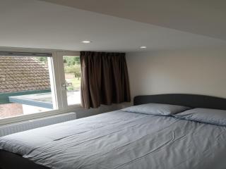 Comfortable holiday home in Noordwijkerhout near the sea - Noordwijkerhout - 5