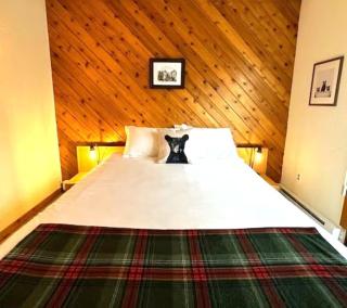 SPECTACULAR CATSKILLS 4 BEDROOM VACATION OASIS- Gorgeous Hunter Mountain Views! - Hunter - 6