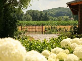Lovely Farmhouse in Wijlre with Forest nearby - Wijlre - 9