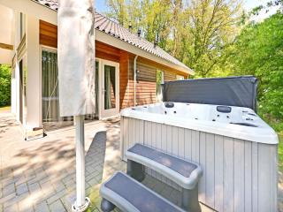 Chalet with gorgeous view of the natural surroundings - Weerselo - 4