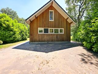 Chalet with gorgeous view of the natural surroundings - Weerselo - 2