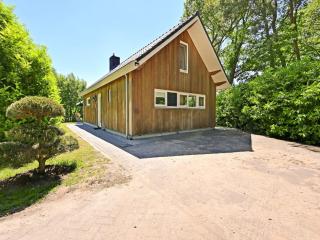 Chalet with gorgeous view of the natural surroundings - Weerselo - 3