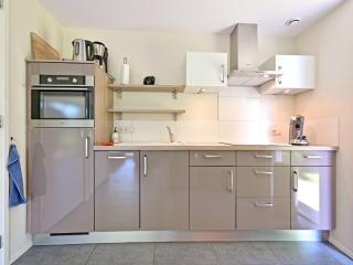 Chalet with gorgeous view of the natural surroundings - Weerselo - 5