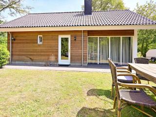 Chalet with gorgeous view of the natural surroundings - Weerselo - 7