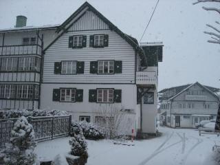 De Jutter Edelweiss - Gosau - 8