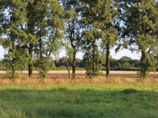 Farmhouse in De Heurne near the forest - De Heurne - 3