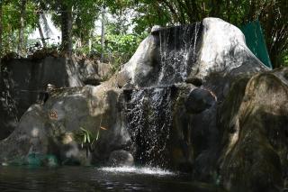 Arshatheeram - Cochin - 1