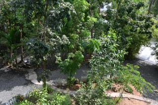 Arshatheeram - Cochin - 3