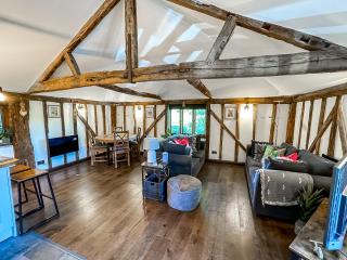 Historic Luxury 18th C Listed Barn Apartment - Maresfield - 9