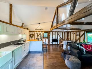 Historic Luxury 18th C Listed Barn Apartment - Maresfield - 3