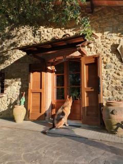 Cerbaiolina di Sotto - Volterra - 6