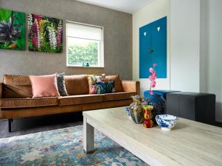 Comfortable family and friends house with wellness - Vlagtwedde - 1