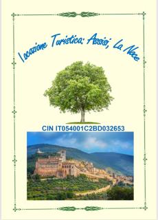 Assisi, la Noce - Assisi - 9