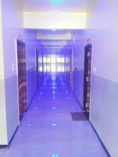 Hotel hari vitthala palace - Godhegaon - 4