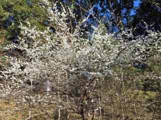 Nanzhuang Haoshanhaishui B&B -  - 0