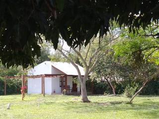 Ibera Full La Pequeña - Colonia Carlos Pellegrini - 6