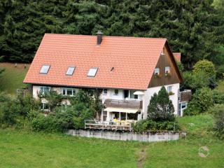 Hornihäusle - Aufʼm Bühl - 9
