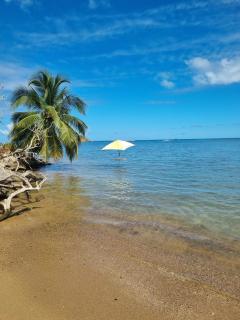 Kozy Kaz - Les pieds dans l eau - 5