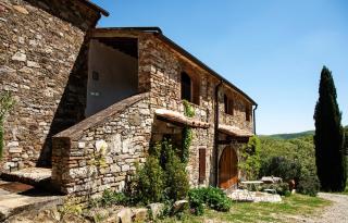 Nittardi - Castellina in Chianti - 6