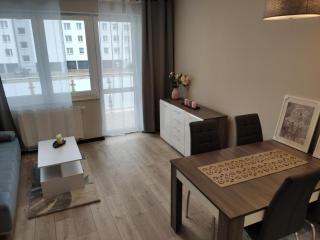 Apartament Piastowski - Świebodzice - 3