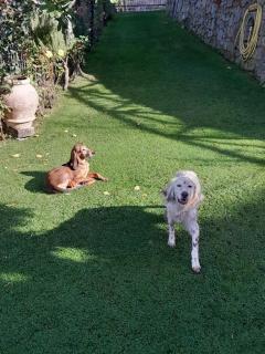 La sosta di Fano - Reggello - 1