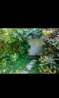 Ancienne ferme Chessy - 5