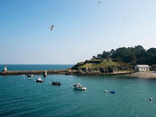 Élégant appartement moderne avec vue sur le port à Sauzon - FR-1-418-188 - 1